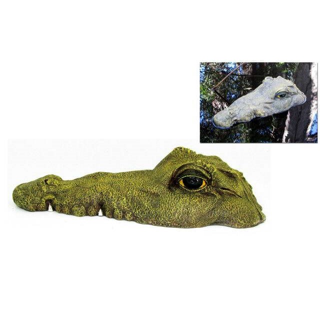 Floating Crocodile Flat Head