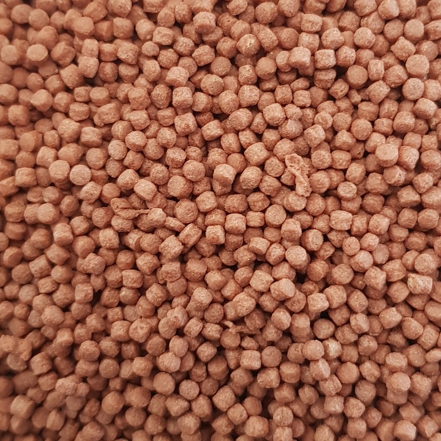 Saikoh Mini Pellet 500g