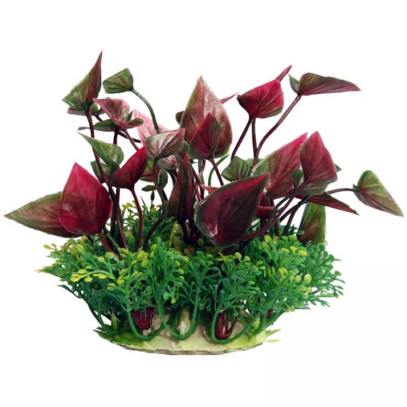Small Lily Red – Ecoscape