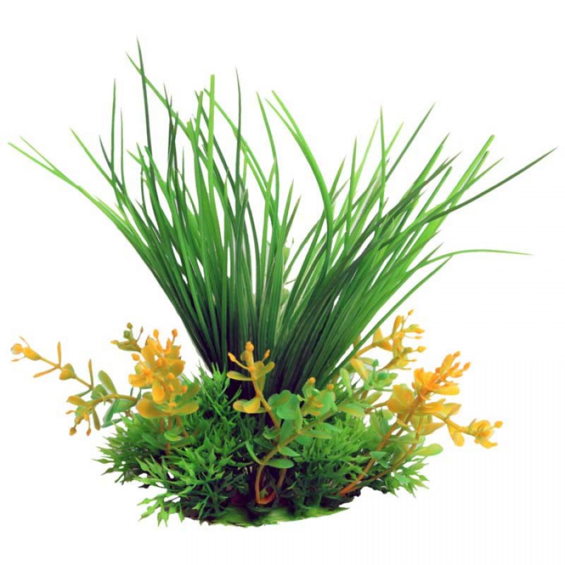 Small Grass Green – Ecoscape