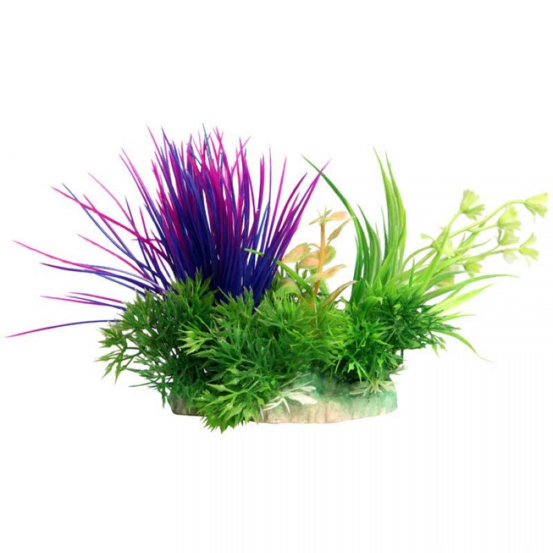 Small Blyxa Purple – Ecoscape