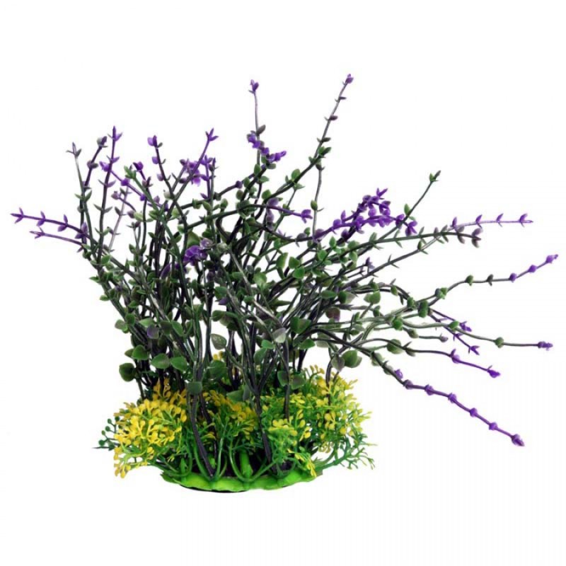 Medium Bladderwort Purple – Ecoscape