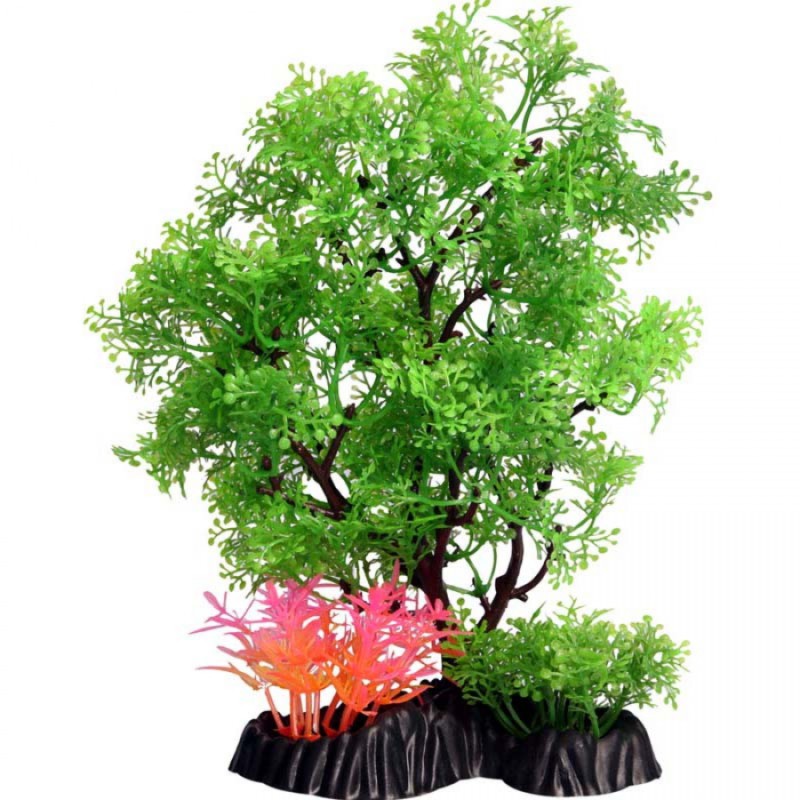 Medium Pollicem Ranae Tree – Ecoscape