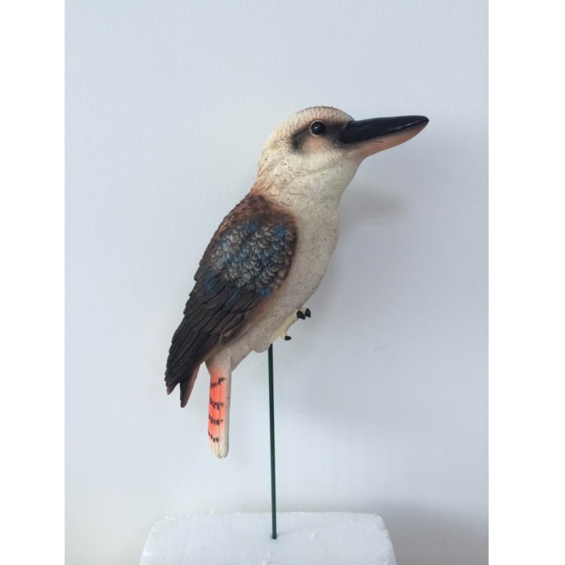 Kookaburra on Stick