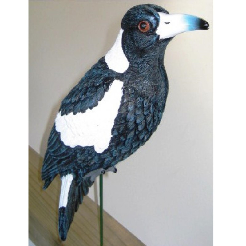 Magpie on a Stick