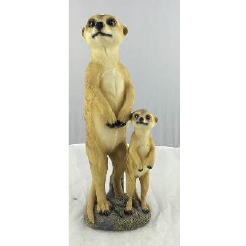Father and Son Meerkat