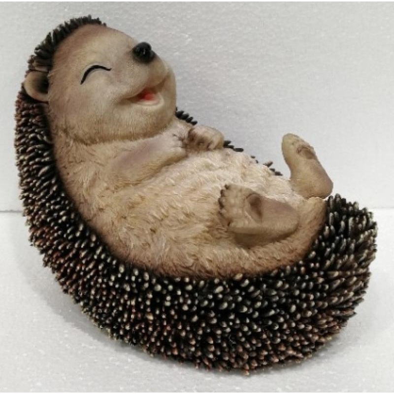 Hedgehog Lying on Back