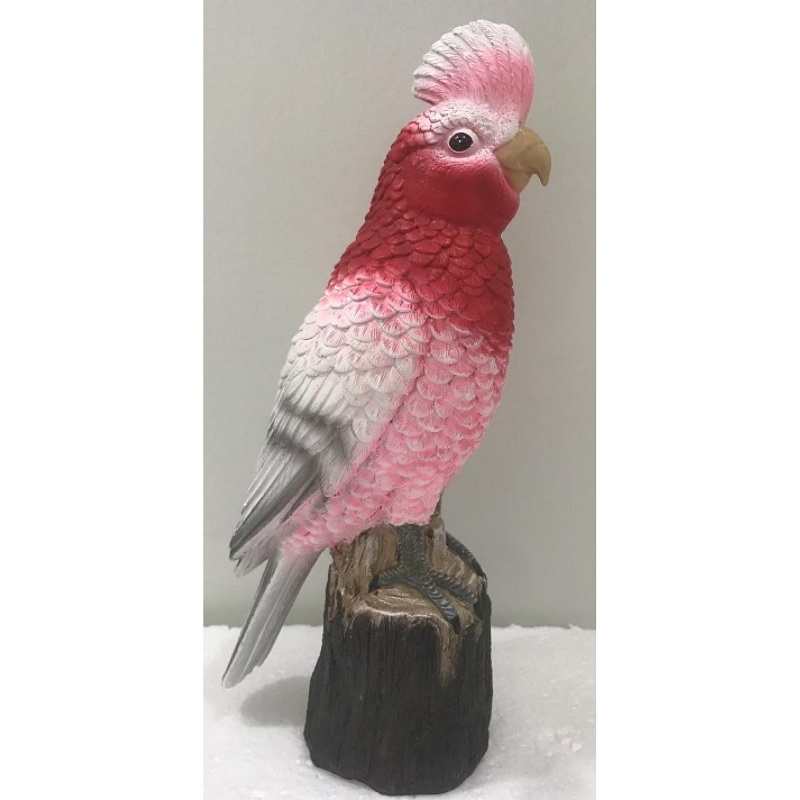 Standing Pink and Grey Galah