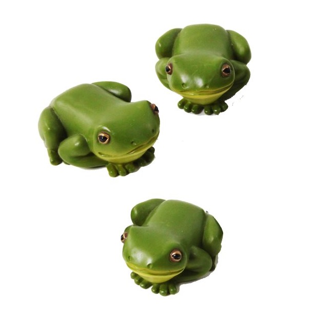 Rain Forest Frog 5cm