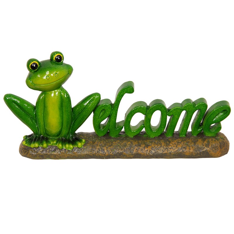 Welcome Frog on Rock