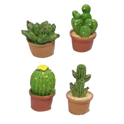 Miniature Cactus