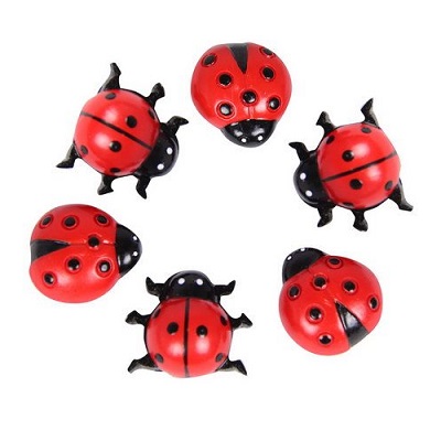 Miniature Ladybugs