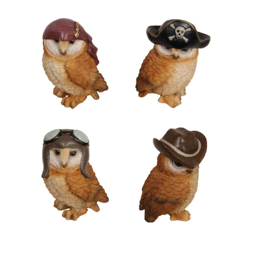 Adventure/Explorer Owls