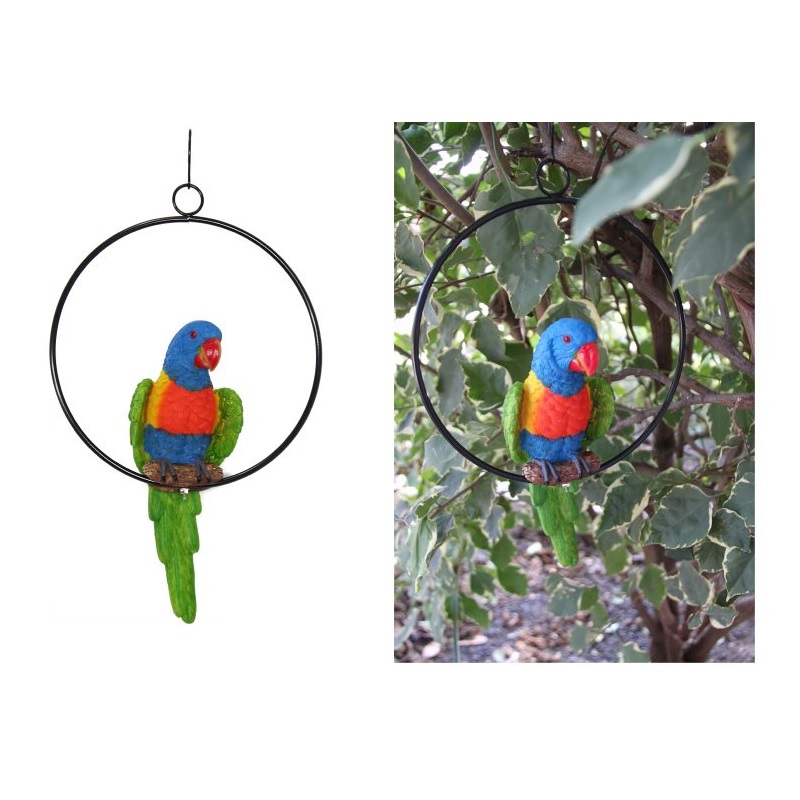 Parrot in Ring