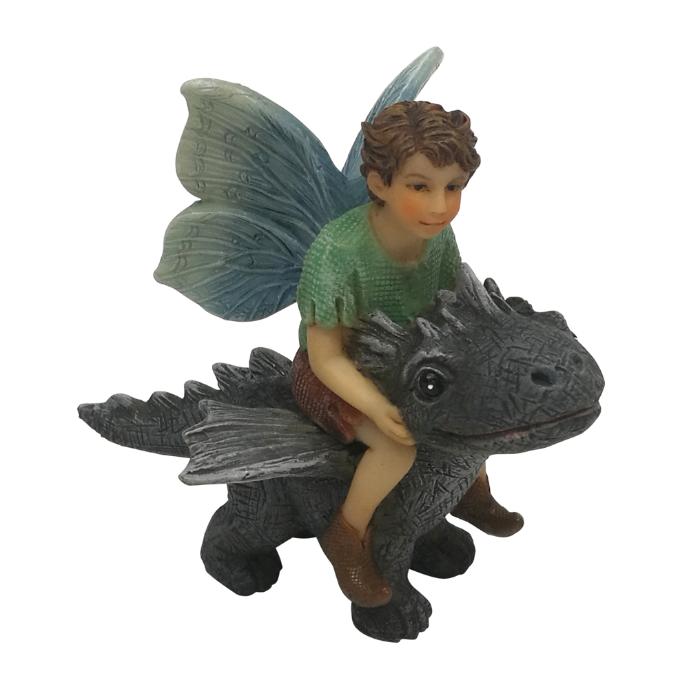 Boy Fairy Riding Dragon