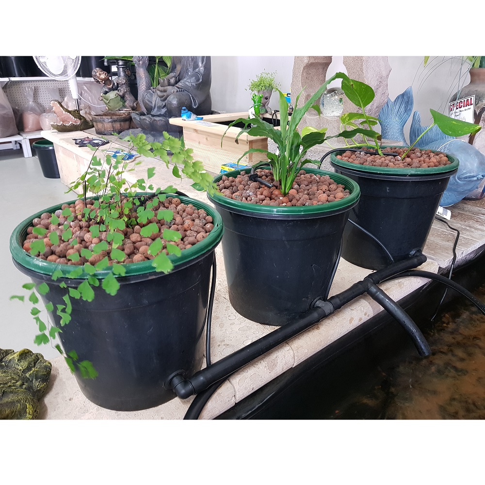 3 x Pot Aquaponics Kit