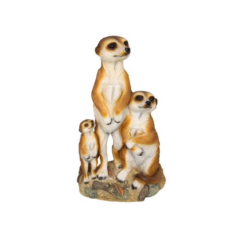 Meerkat Family