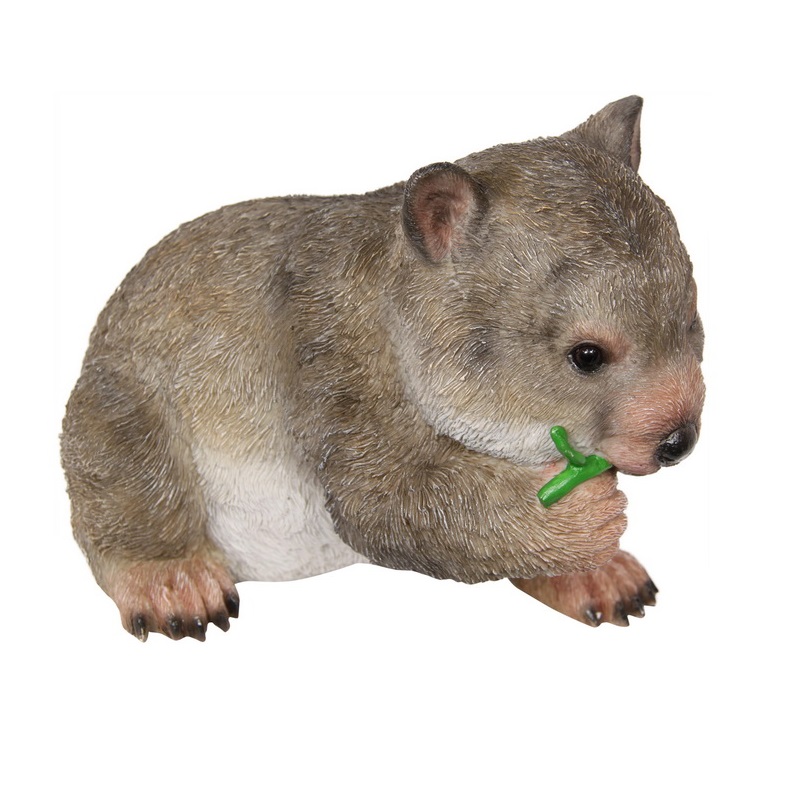 Wombat Eating Leaf