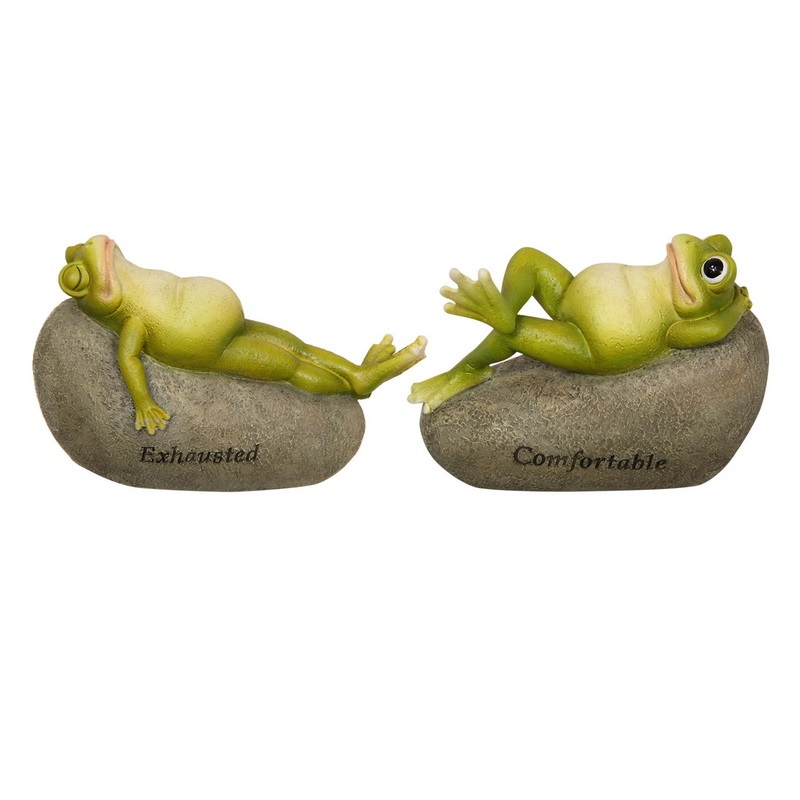 Exhausted Frog on Rock