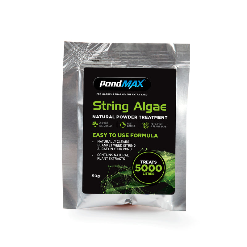 Natural String Algae Powder 50g