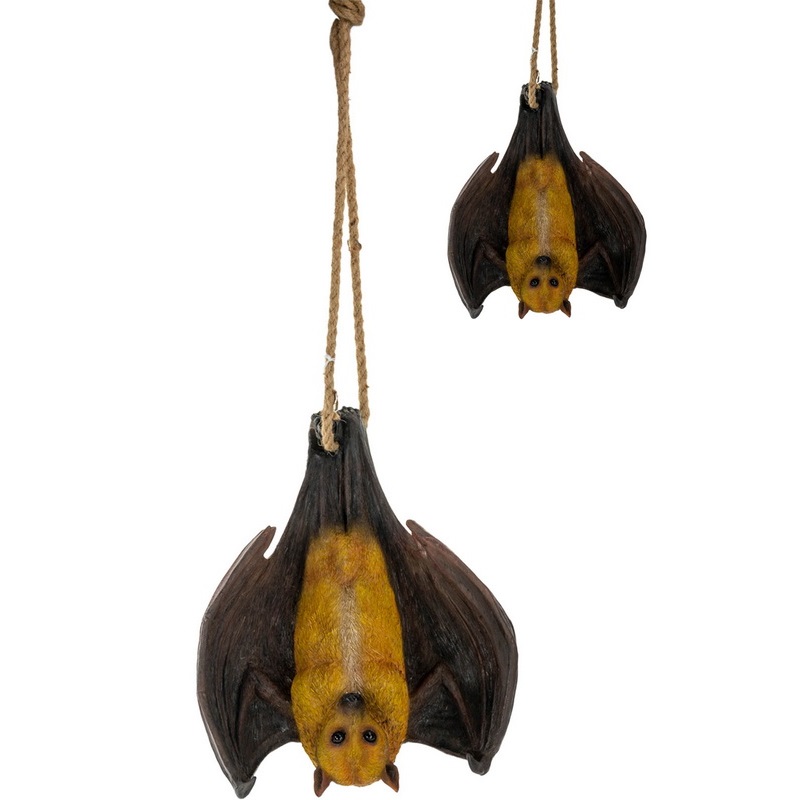Hanging Bat on Rope