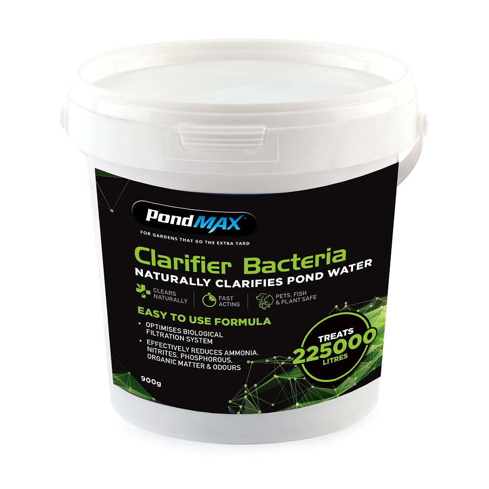Clarifier Bacteria 900g