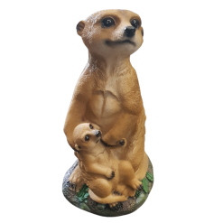 Meerkat with Baby