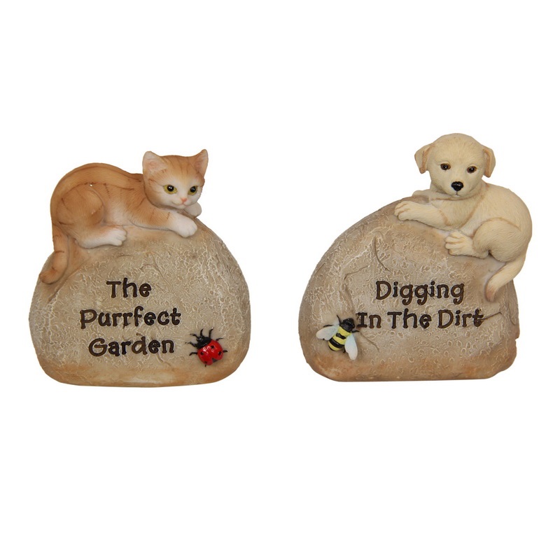 Cat / Dog on Garden Rock