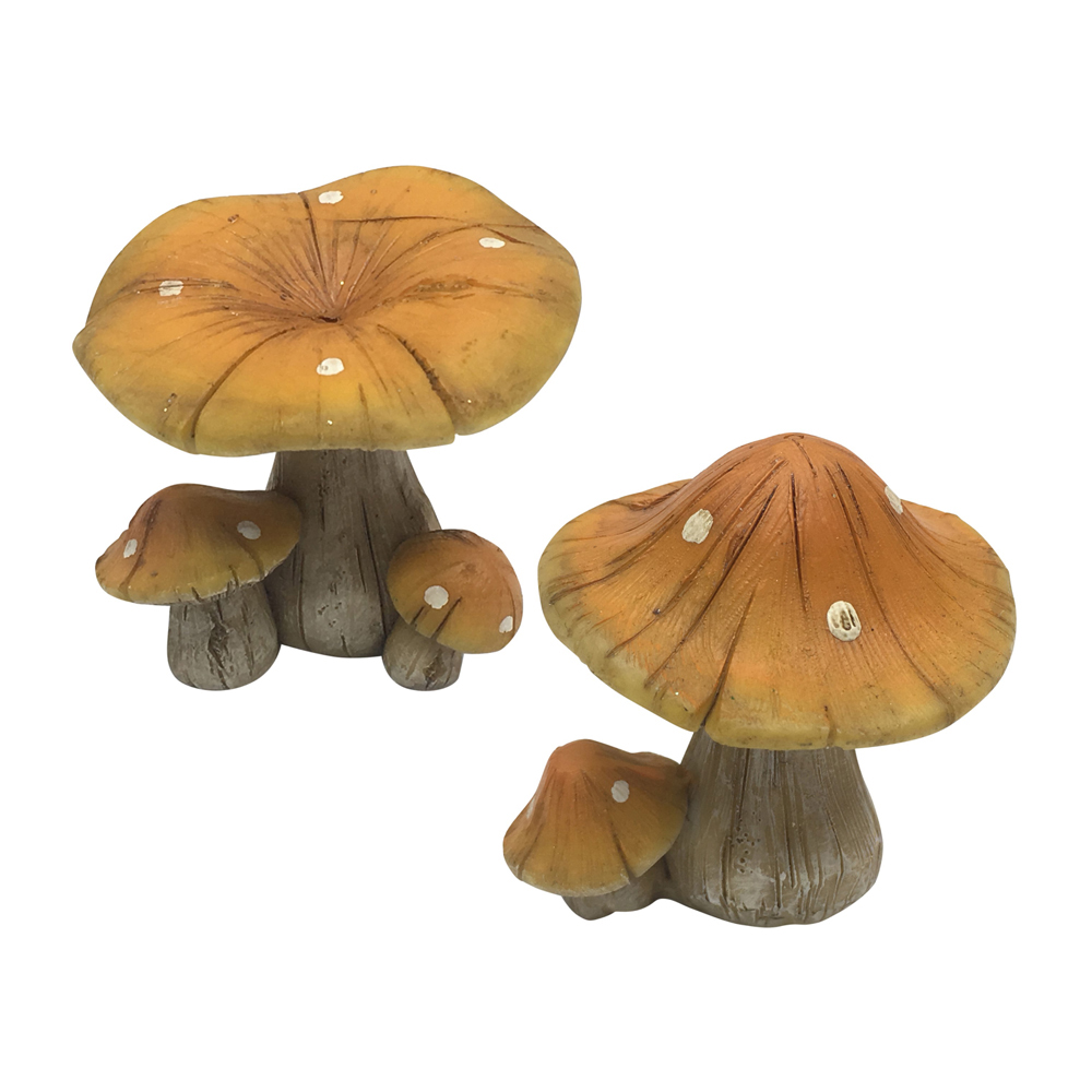 Small Natural Mushrooms