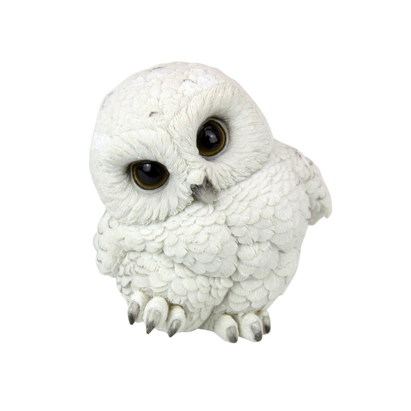Cute White Owl