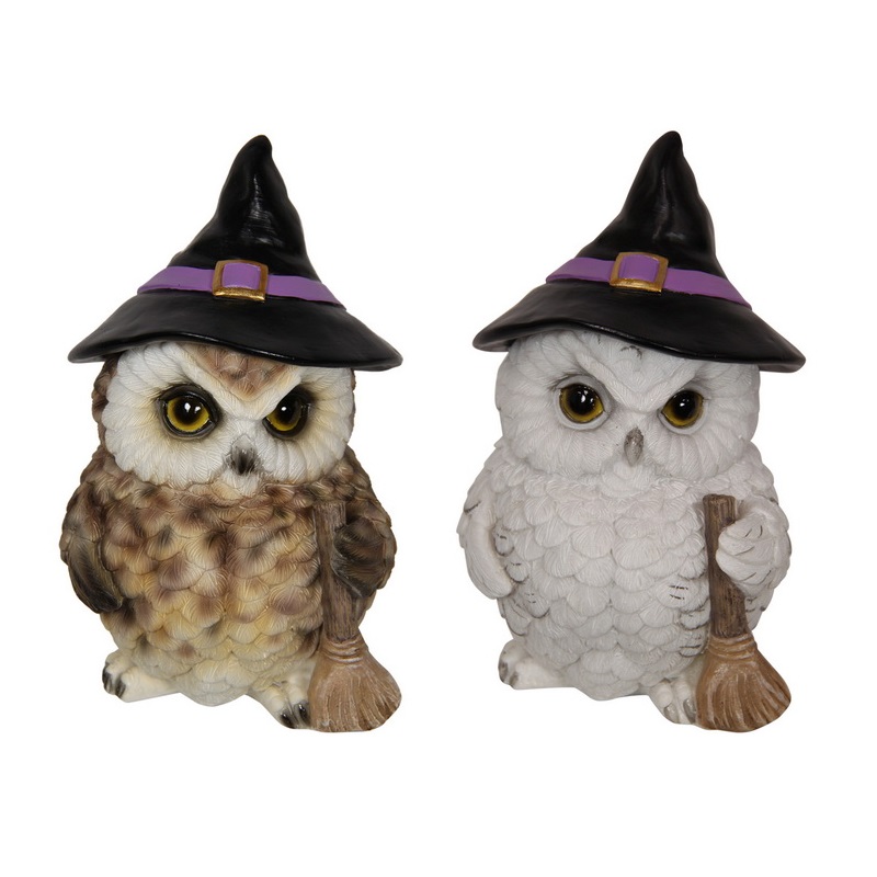 Owl Witch / Wizard