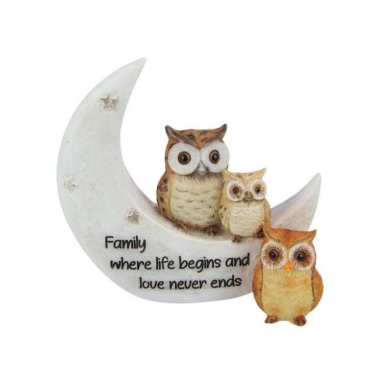 Owl Family on Moon
