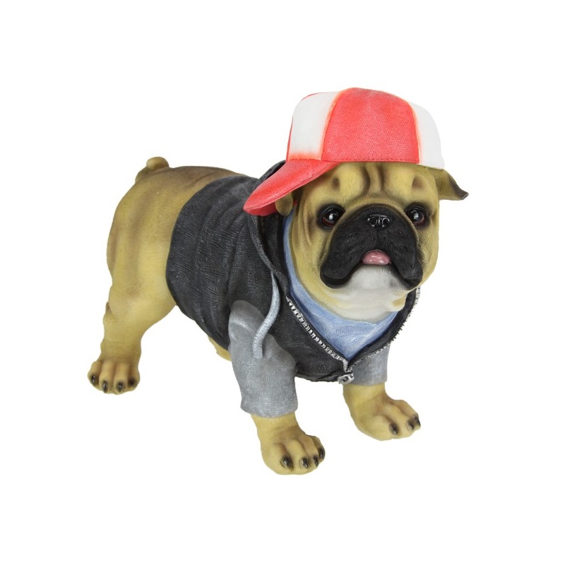 Pug Dog Dressed Trendy