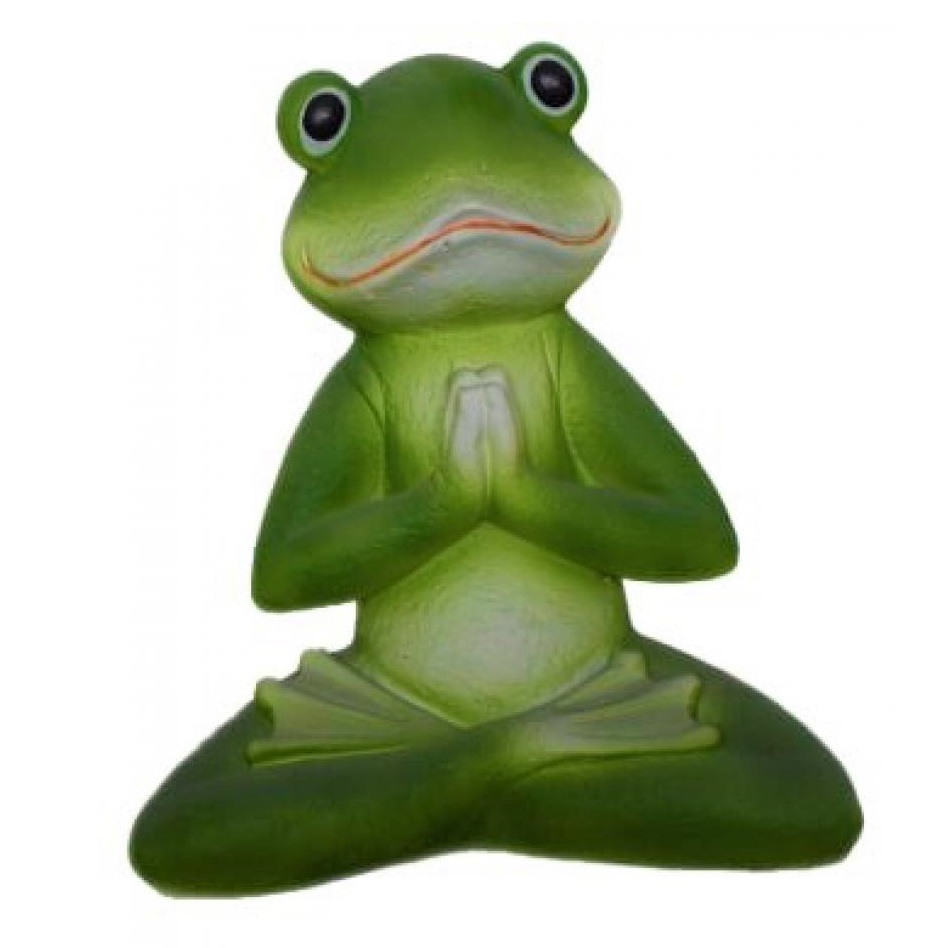 Merlin the Meditating Frog