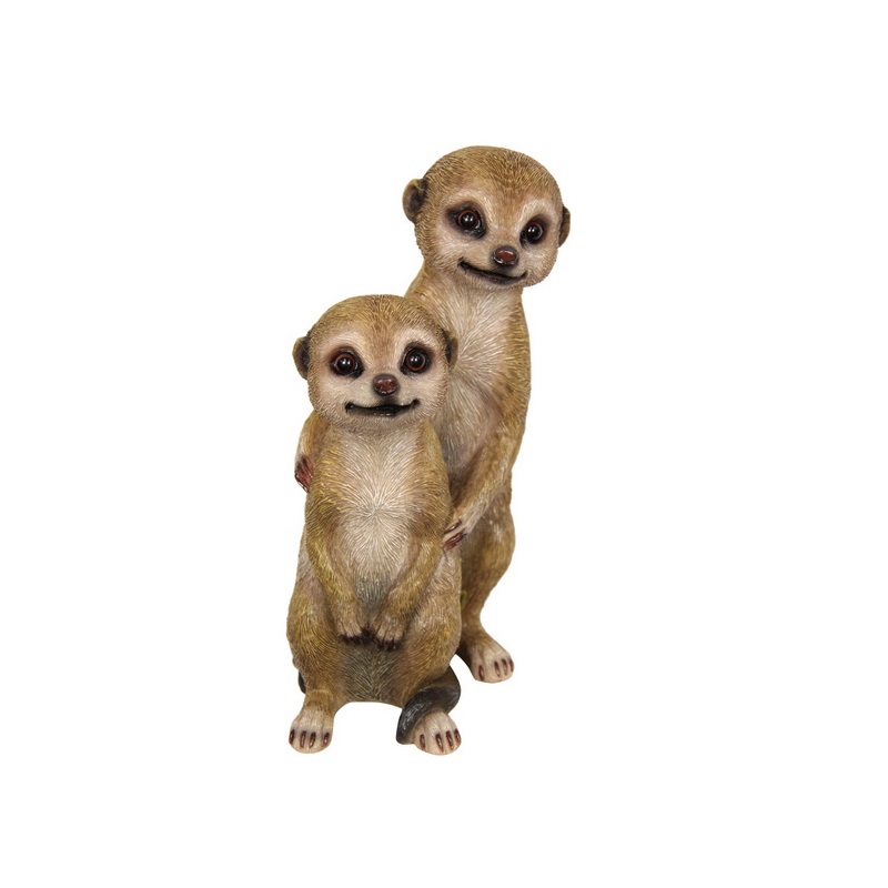 Meerkat Cheeky Youngsters