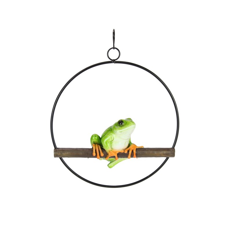 Green Tree Frog in Hanging Ring