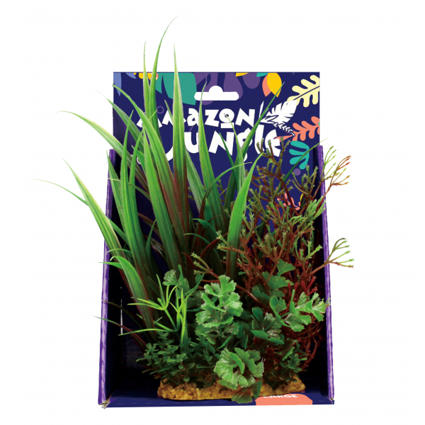 Mixed Plant Variety Display – Amazon Jungle