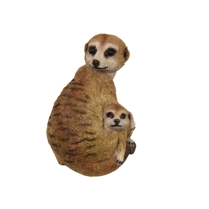 Meerkat – Mother and Baby