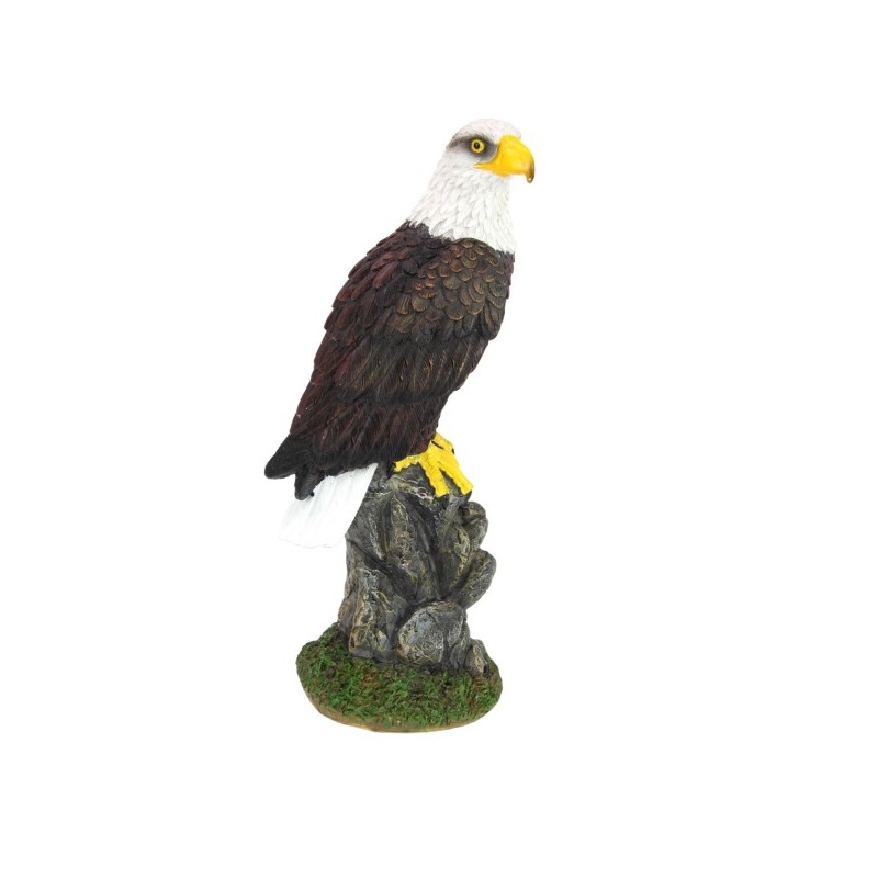 Eagle on Perch