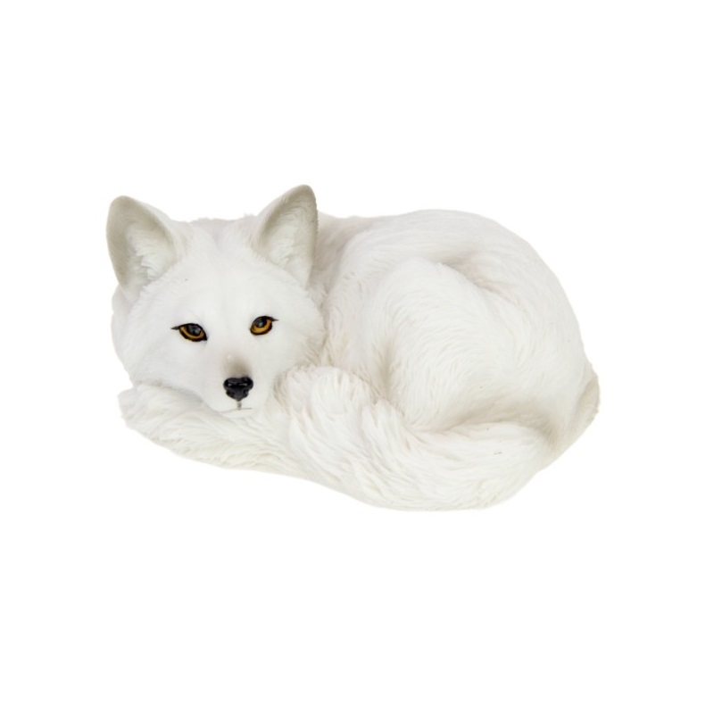 White Wolf Curled Up