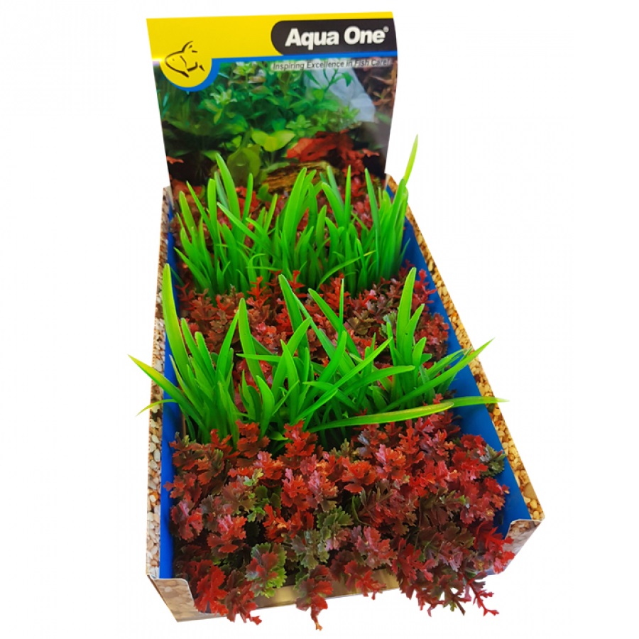 Foreground Red Catspaw or Lilaeopsis Green Mix Punnet