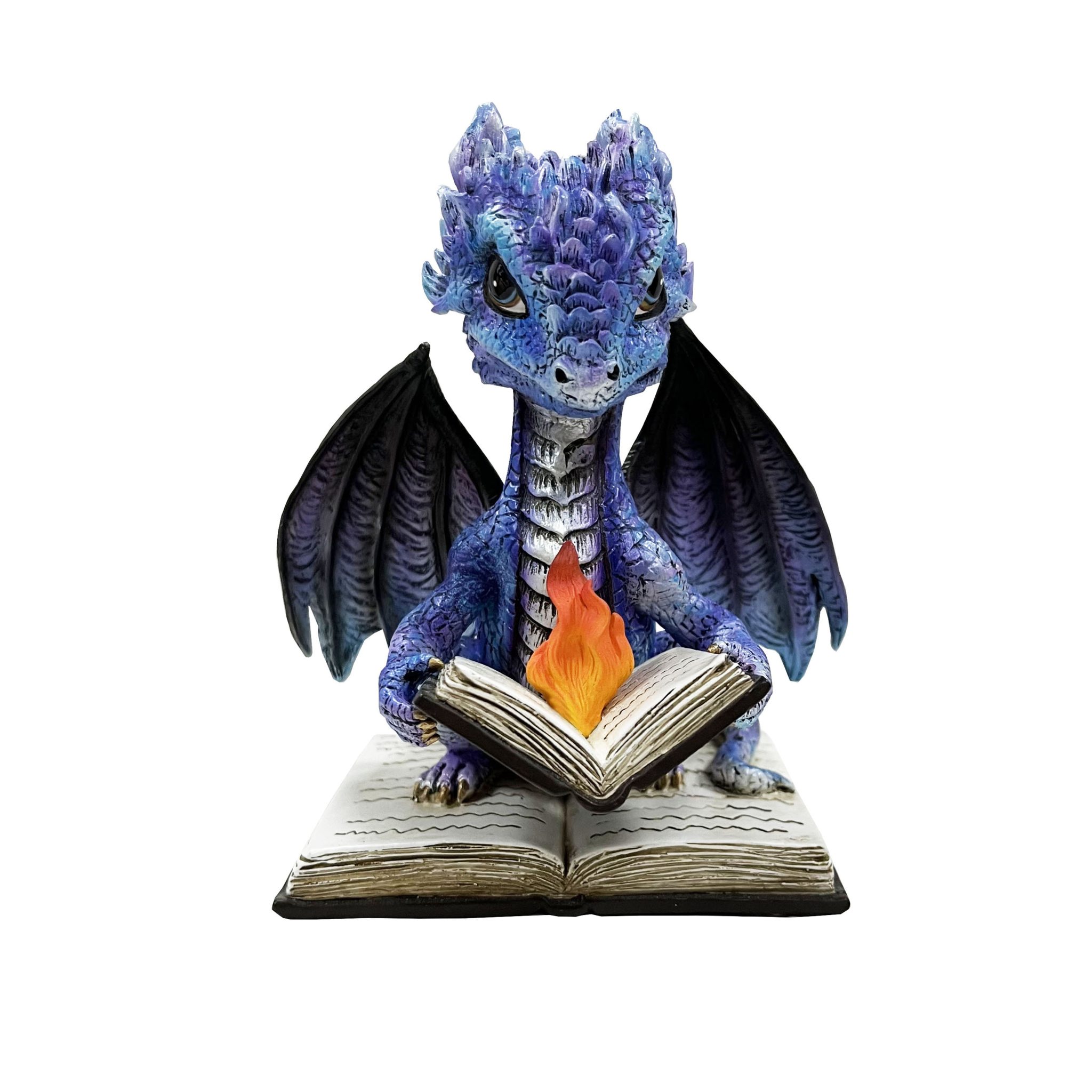 Dragon Reading Spell Book