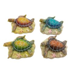 Turtle Relaxing on Coral