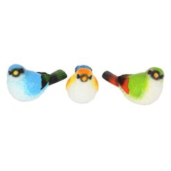 Cute Coloured Bird
