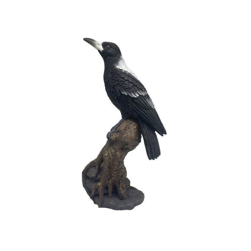 Magpie on Log
