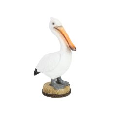 Standing Pelican on Log