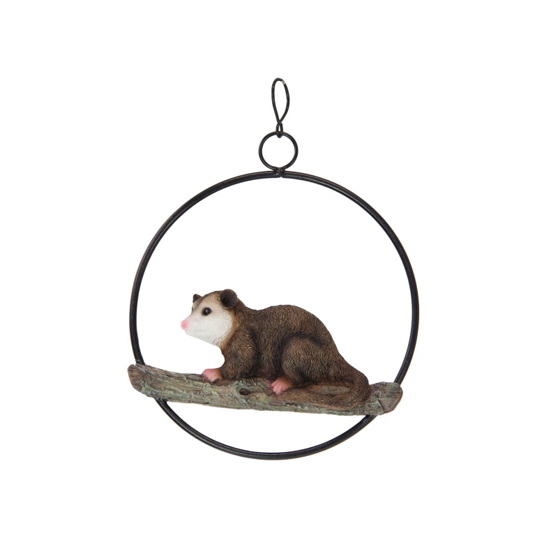 Possum in Hanging Ring