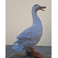 White Standing Duck