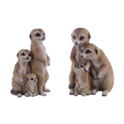 Standing Meerkat Family