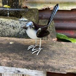 Willie Wagtail Standing